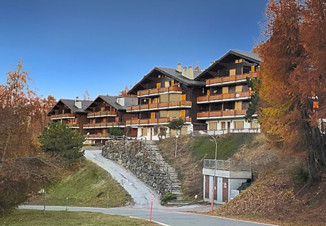 Ferienwohnung in Les Agettes - Les Mayens de l'Ours - 4 Vallées