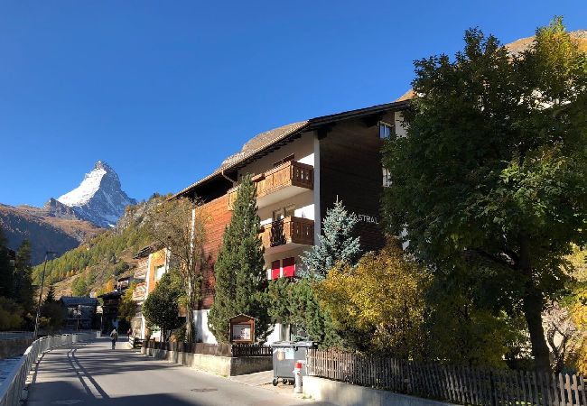 Ferienwohnung in Zermatt - Eagle Apartement - Zermatt