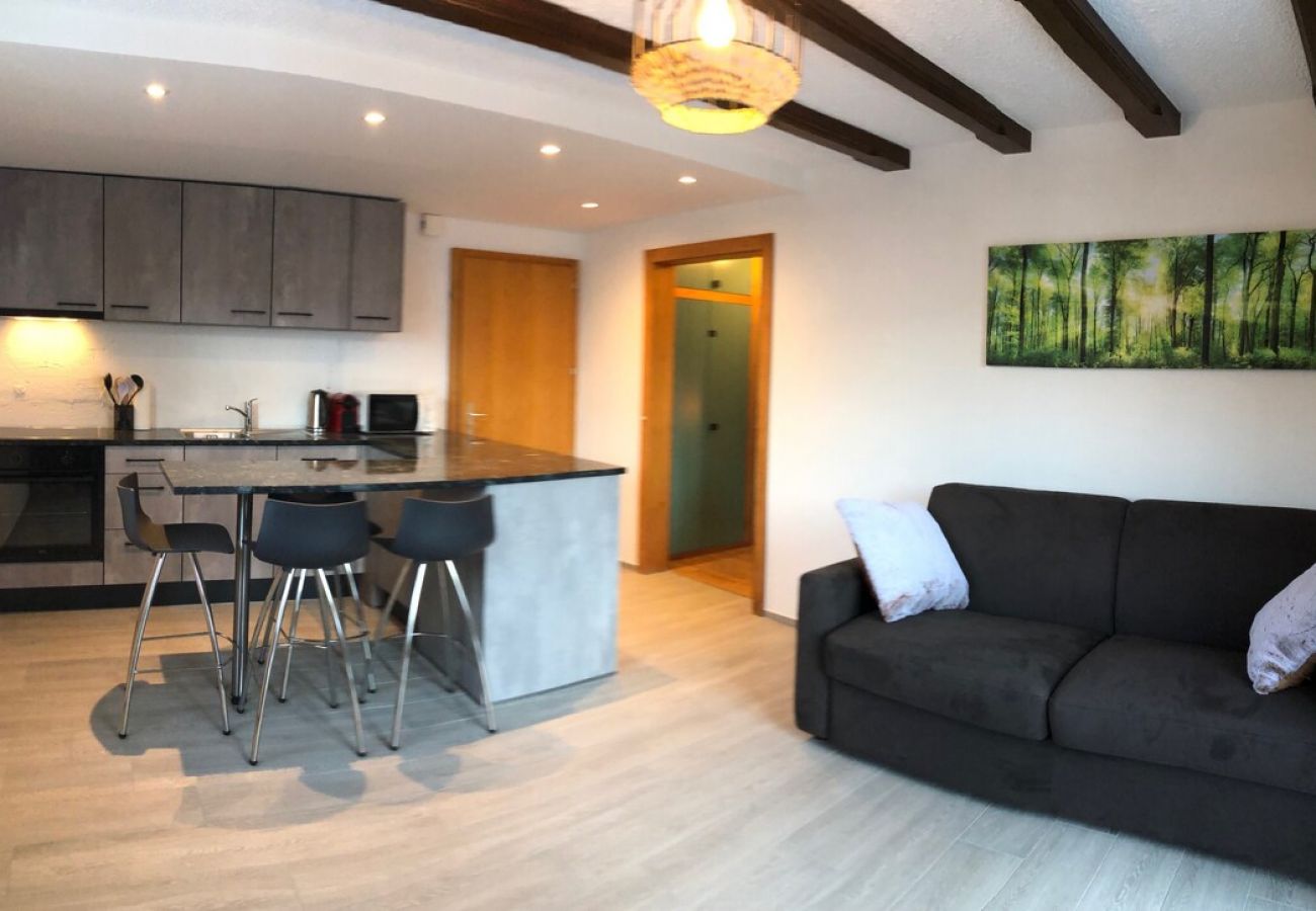 Ferienwohnung in Sion - Chez Tonton à 5mns de Sion
