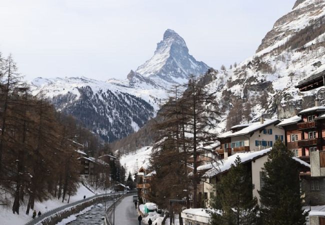 Studio in Zermatt - Studio Phoenix - Zermatt Studio in Zermatt - Studio Phoenix - Zermatt