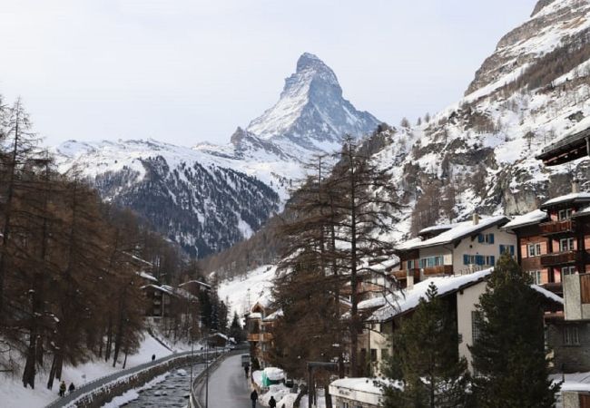 Studio in Zermatt - Studio Phoenix - Zermatt