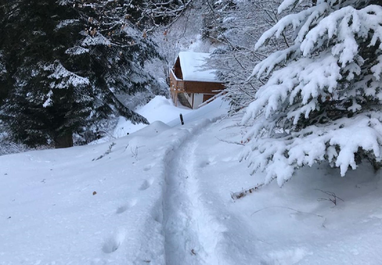 Ferienwohnung in Champex-d´Allesse - Lodge Le Mirador au coeur de la nature