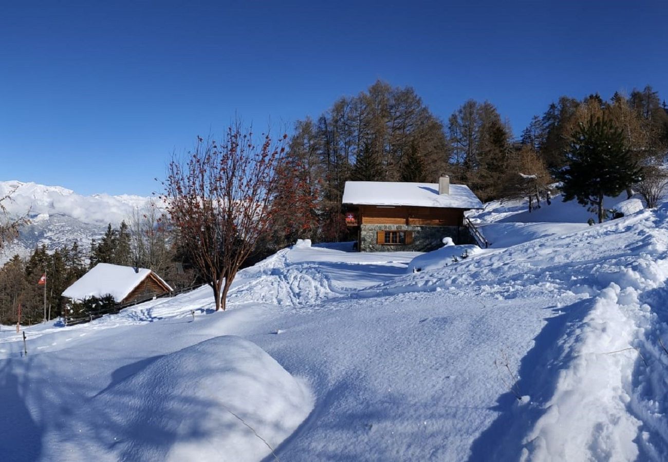 Chalet in Veysonnaz - Chalet La Vie est Belle sur les Pistes
