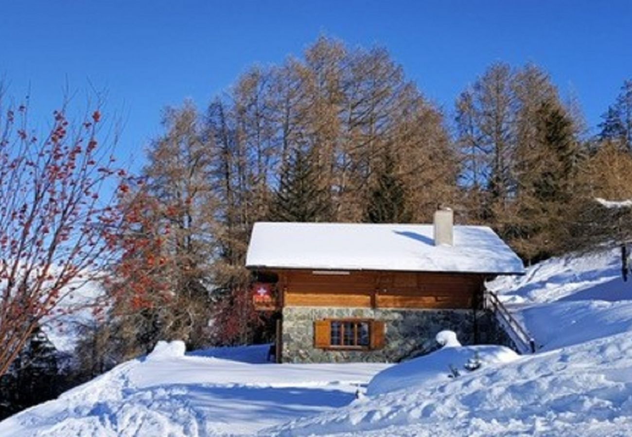 Chalet in Veysonnaz - Chalet La Vie est Belle sur les Pistes