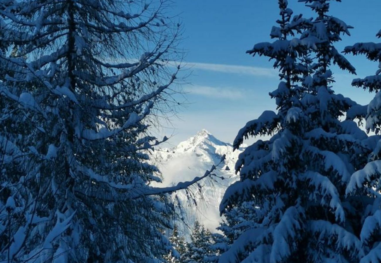 Chalet in Veysonnaz - Chalet La Vie est Belle sur les Pistes