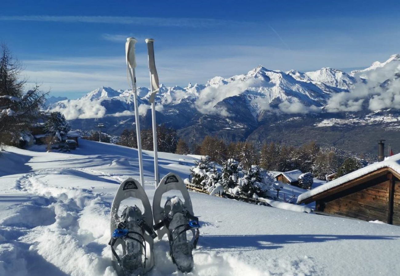 Chalet in Veysonnaz - Chalet La Vie est Belle sur les Pistes