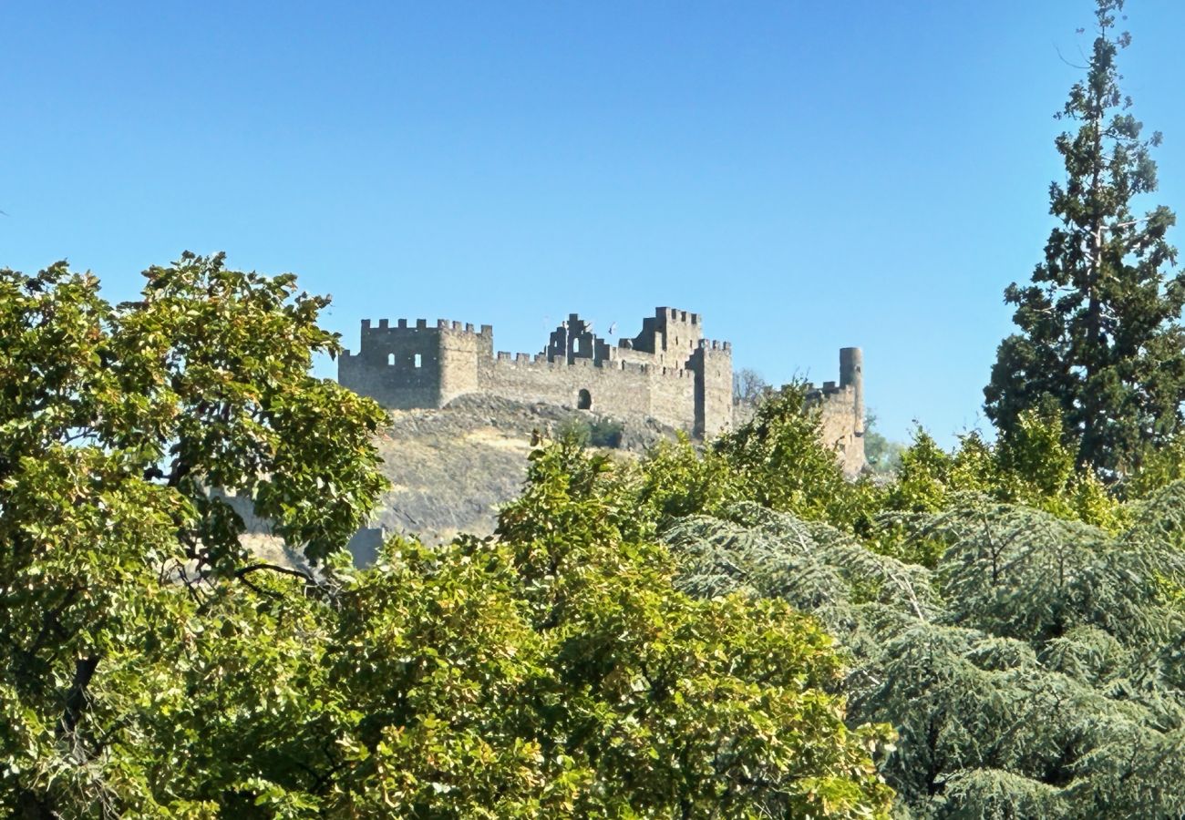Herrliche Aussicht auf das Schloss von Tourbillon