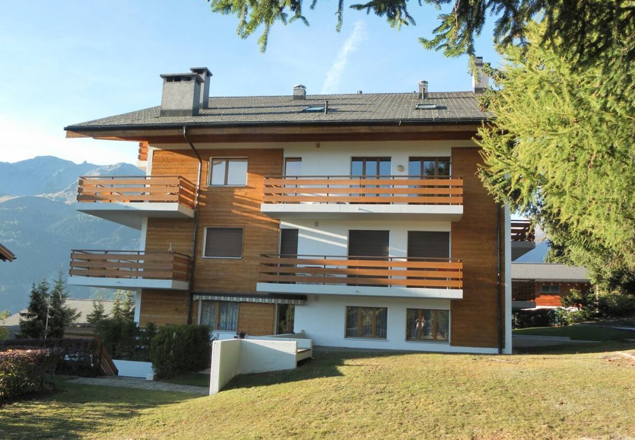 Ferienwohnung in Crans-Montana - La Jacinthe de Crans - Crans Montana