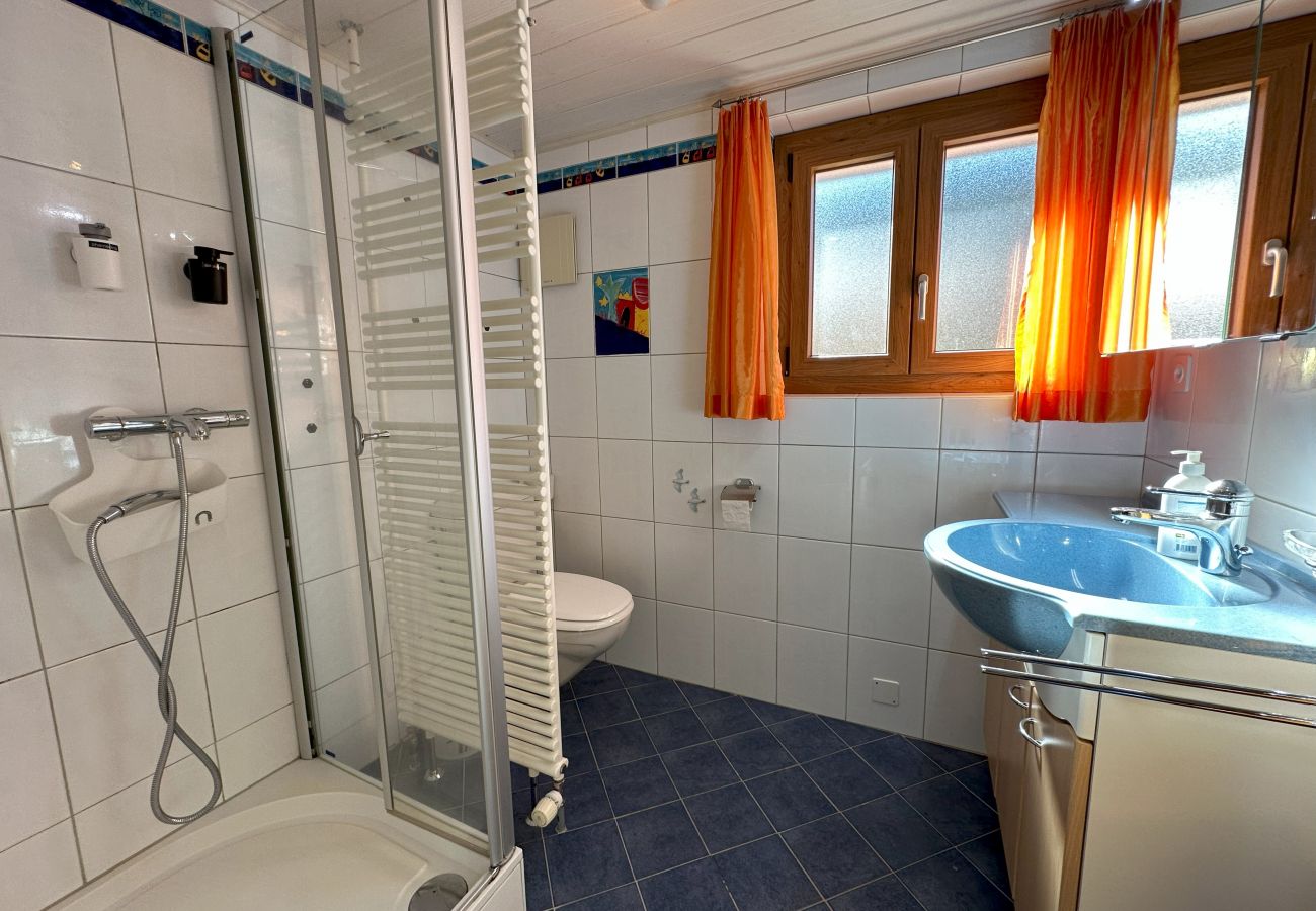 Ferienwohnung in Beuson - Perfect Mountain Condo - 4 Valleys - Swiss Alps