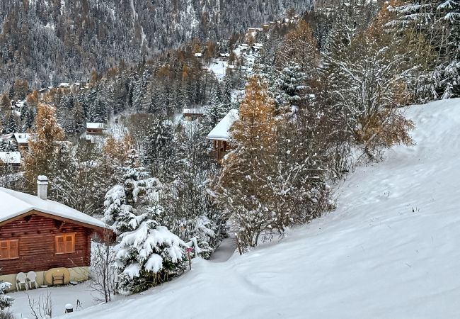 Chalet in La Tzoumaz - Chalet à Didi - Alps Paradise - 4 Vallees