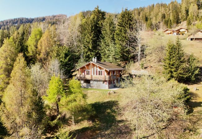 Chalet in La Tzoumaz - Chalet à Didi - Alpes Paradise- Ski in and out Chalet in La Tzoumaz - Chalet à Didi - Alpes Paradise- Ski in and out
