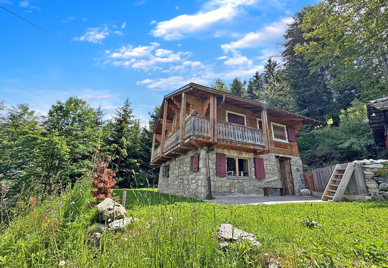 Chalet in La Tzoumaz - Chalet à Didi - Alpes Paradise- Ski in and out