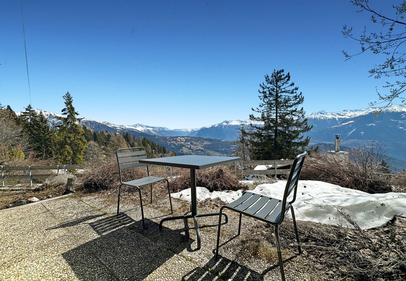 Ferienwohnung in Anzère - PO Grande Ourse Suite - Anzère Slopeside - Swiss A