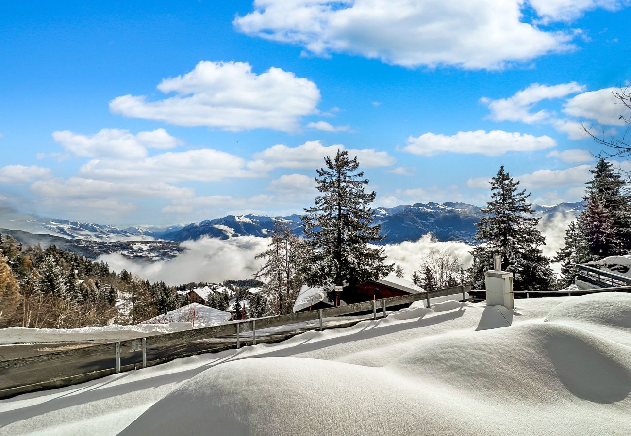 Studio in Anzère - PO Petite Ourse Suite - Anzère Slopeside - Swiss A