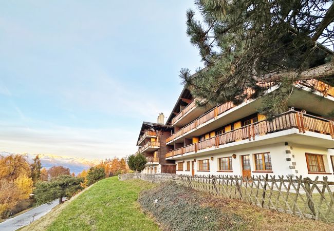  in Les Agettes - Lift Bear Lodge - 4Valleys - Swiss Alps