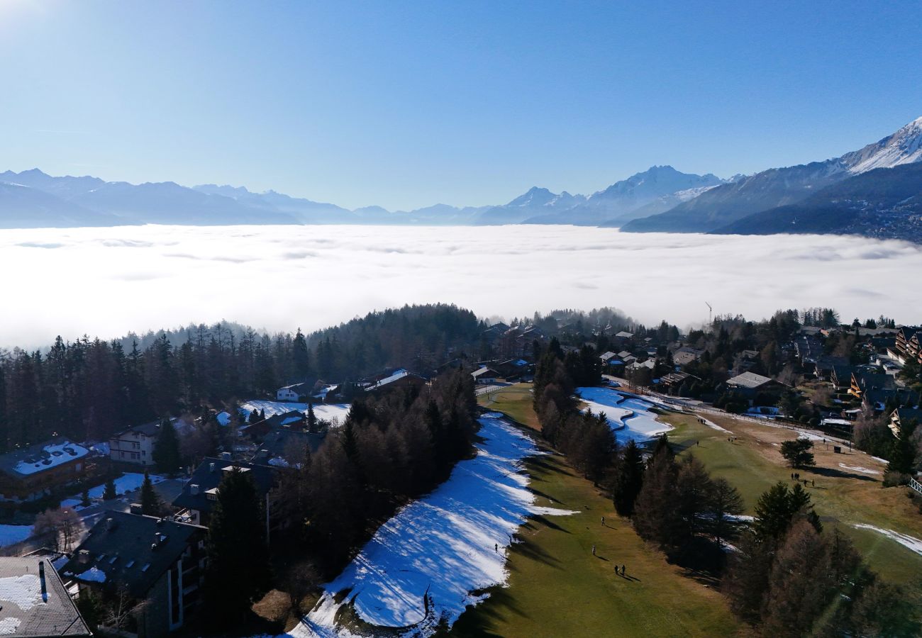 Ferienwohnung in Crans-Montana - From green to slopes - Alpine ski and golf  condo
