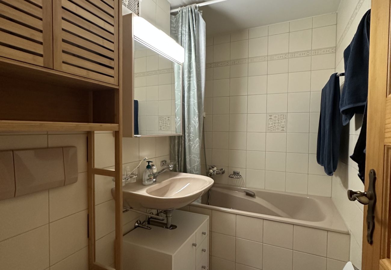 Ferienwohnung in Haute-Nendaz - Winter Garden & Sauna – Nendaz - Peaceful & Centra