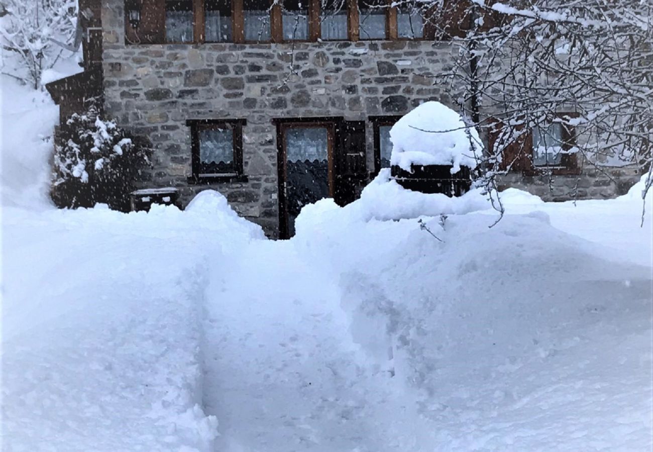 Driveway leading to the stone chalet