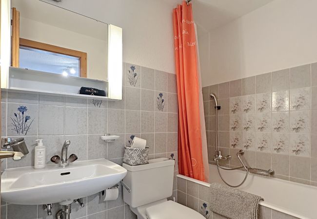 Apartment in Les Agettes - Les Mayens de l'Ours - 4 Vallées Apartment in Les Agettes - Les Mayens de l'Ours - 4 Vallées