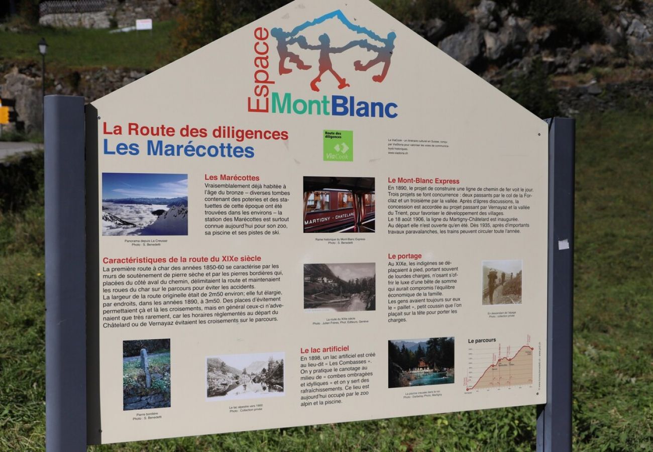 Apartment in Salvan - Cosy & Star - Salvan - Les Marécottes - Swiss Alps