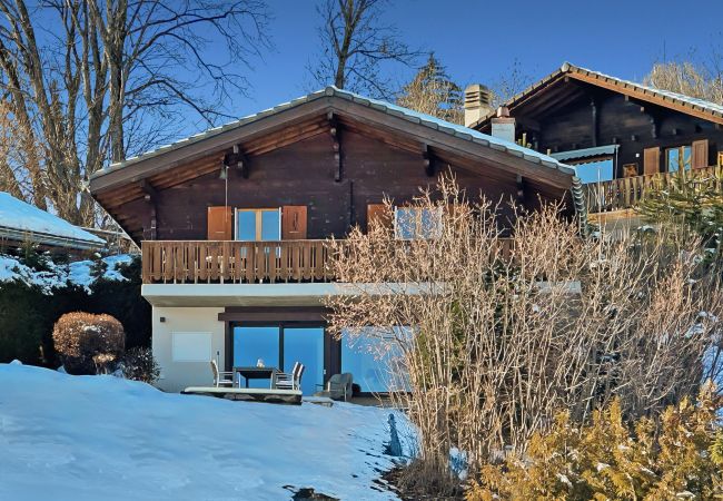 Chalet Belvédère, surrounded by snow with its pretty terrace
