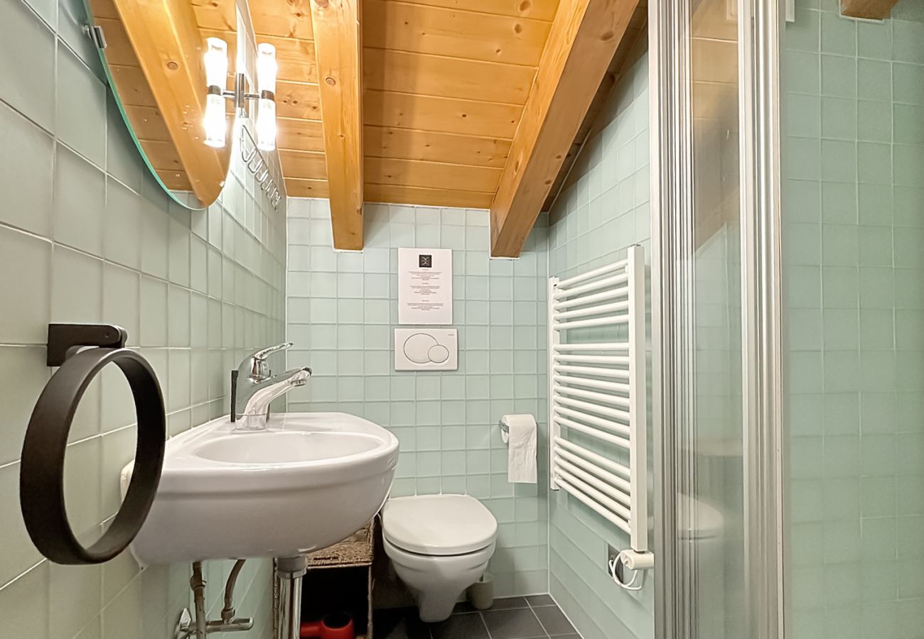 Apartment in Bagnes - Hakuna Matata- 4 Vallees  Swiss Alps