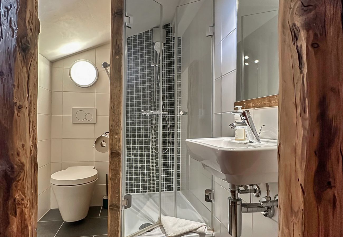 Chalet in Bagnes - Mon Raccard Cosy - 4 Vallées