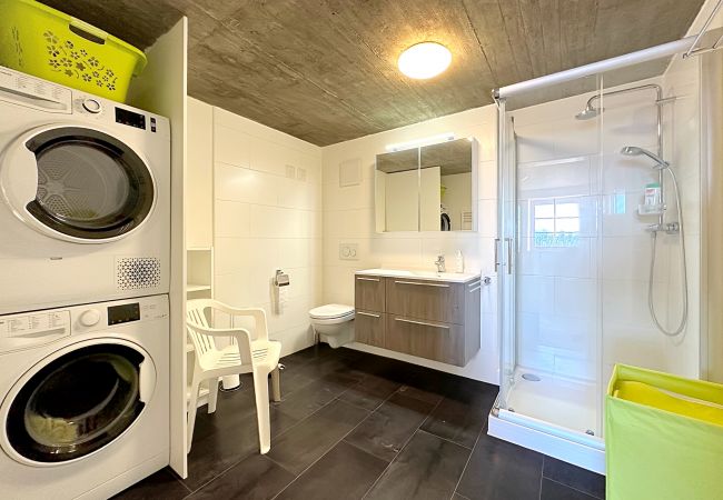 Chalet in Anzère - Tiny House facing the Alps - Ski in and out Chalet in Anzère - Tiny House facing the Alps - Ski in and out