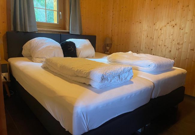 Chalet in Anzère - Tiny House facing the Alps - Ski in and out Chalet in Anzère - Tiny House facing the Alps - Ski in and out