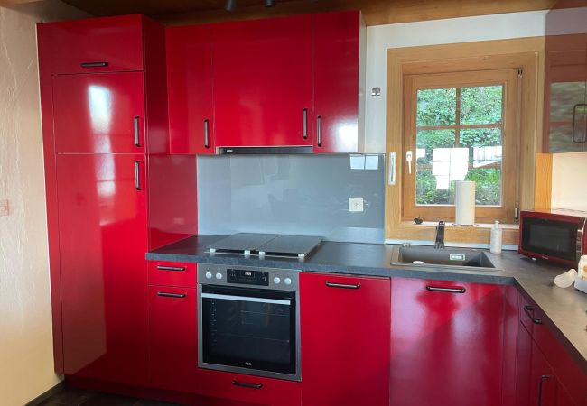 Chalet in Anzère - Tiny House facing the Alps - Ski in and out Chalet in Anzère - Tiny House facing the Alps - Ski in and out