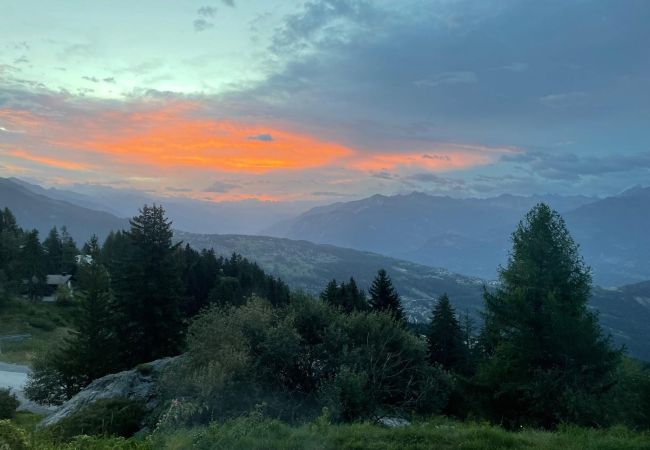 Chalet in Anzère - Tiny House facing the Alps - Ski in and out Chalet in Anzère - Tiny House facing the Alps - Ski in and out