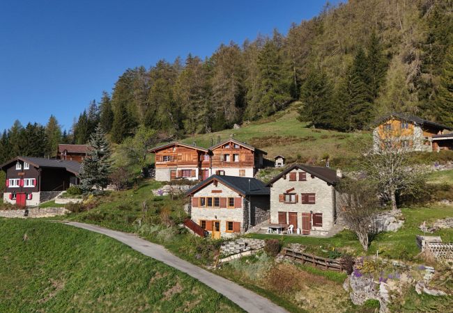 Villa in Anzère - Tiny House facing the Alps - Ski in and out