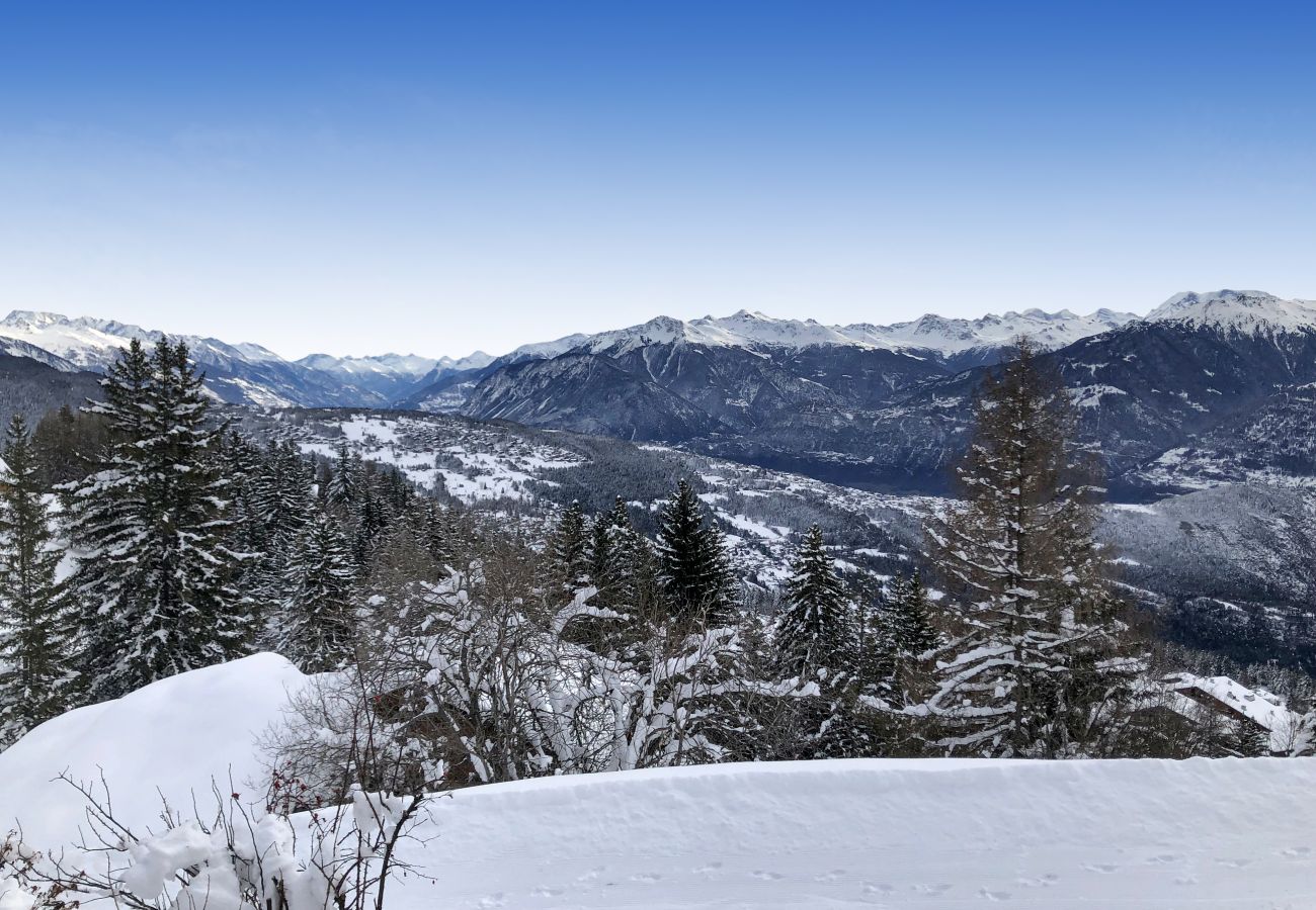 Chalet in Anzère - Tiny House facing the Alps - Ski in and out