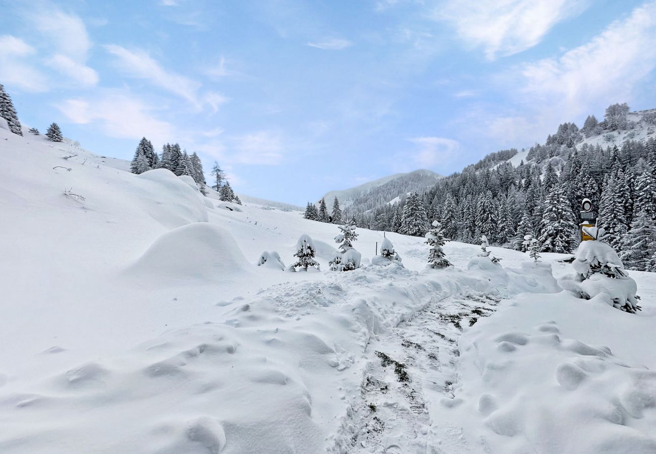 Chalet in La Fouly - Chalet Le Basset - Family Chalet in the Swiss Alps