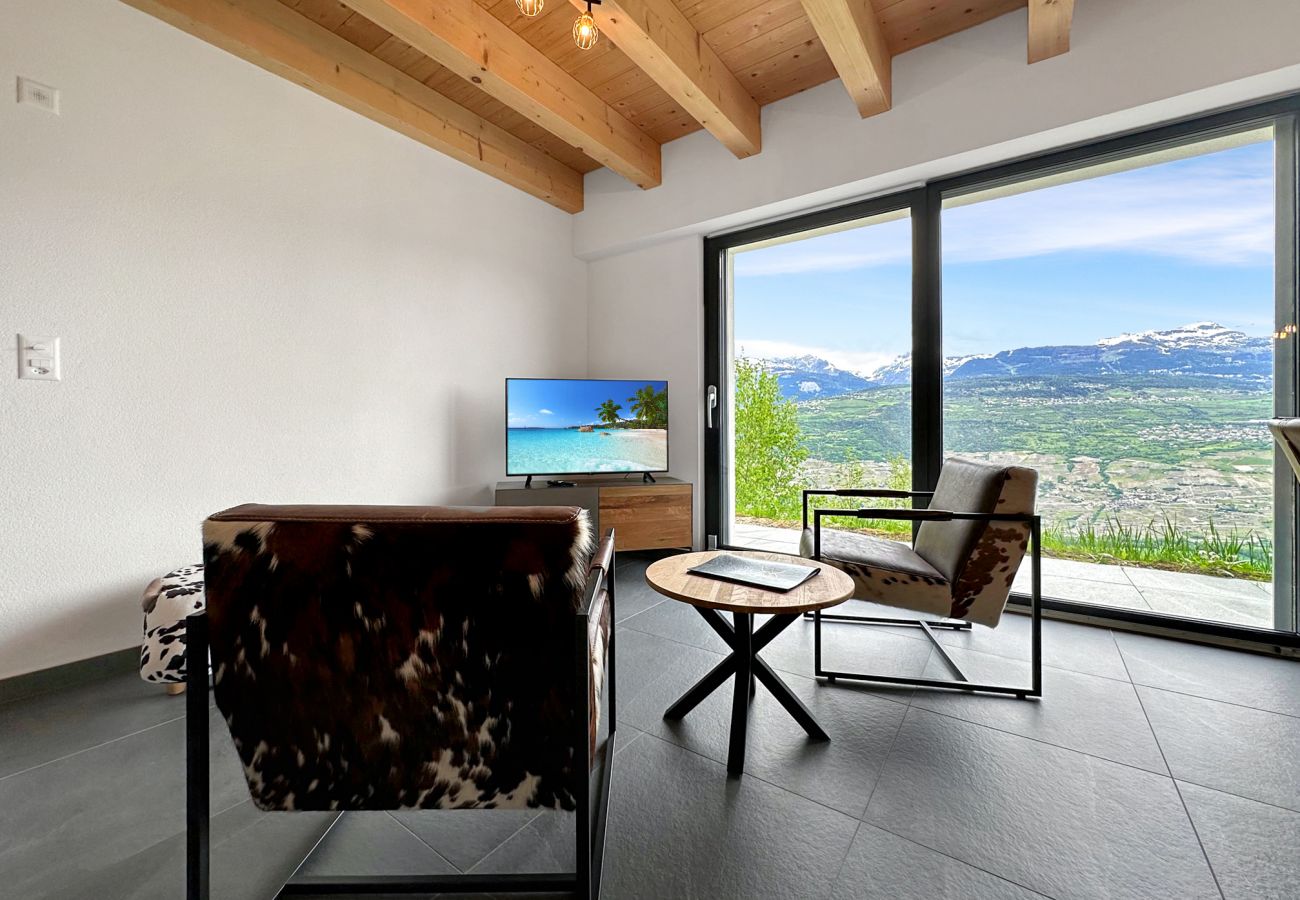 Lounge with comfortable armchairs, coffee table and television