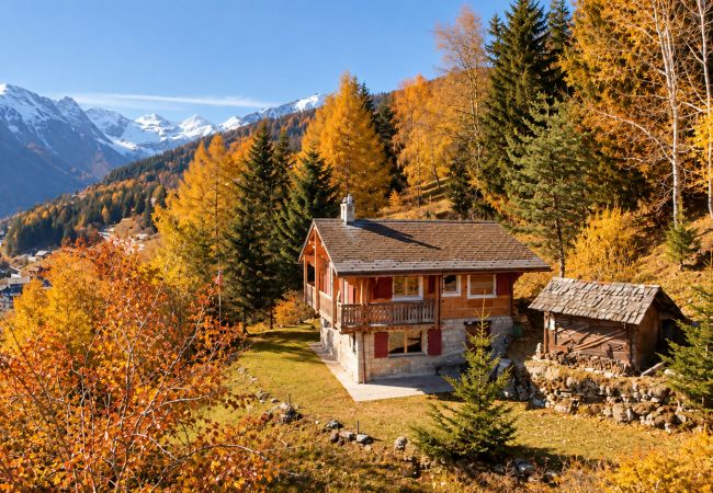 Chalet in La Tzoumaz - Chalet à Didi - Alpes Paradise- Ski in and out
