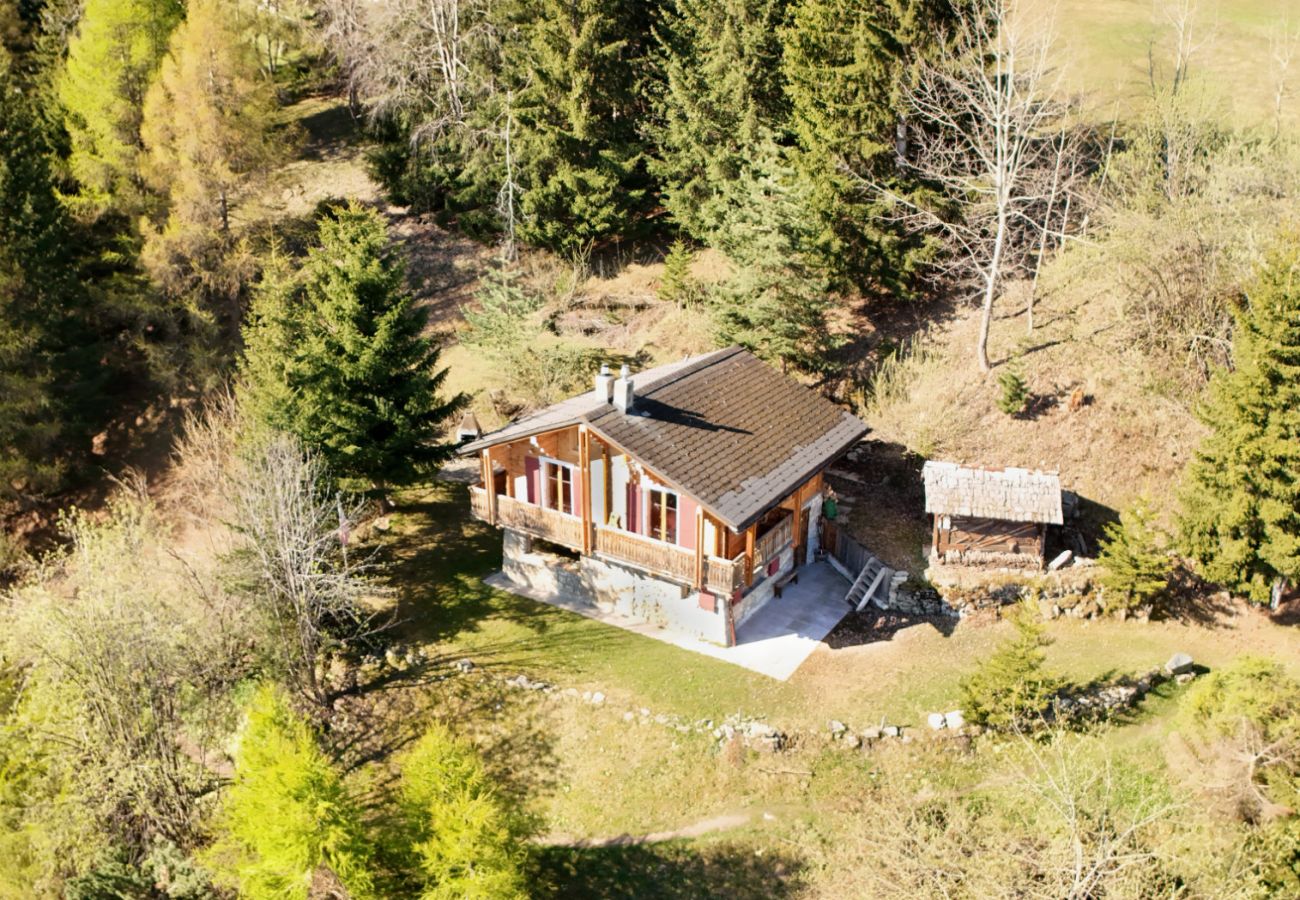 Chalet in La Tzoumaz - Chalet à Didi - Alpes Paradise- Ski in and out