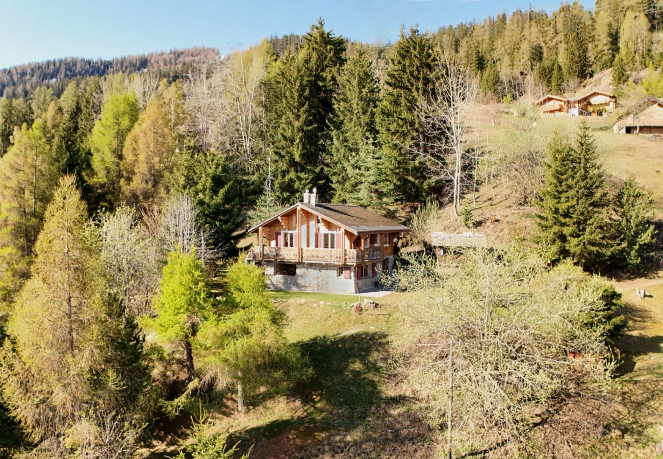 Chalet in La Tzoumaz - Chalet à Didi - Alpes Paradise- Ski in and out