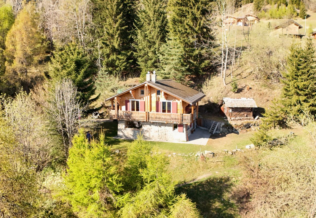 Chalet in La Tzoumaz - Chalet à Didi - Alpes Paradise- Ski in and out