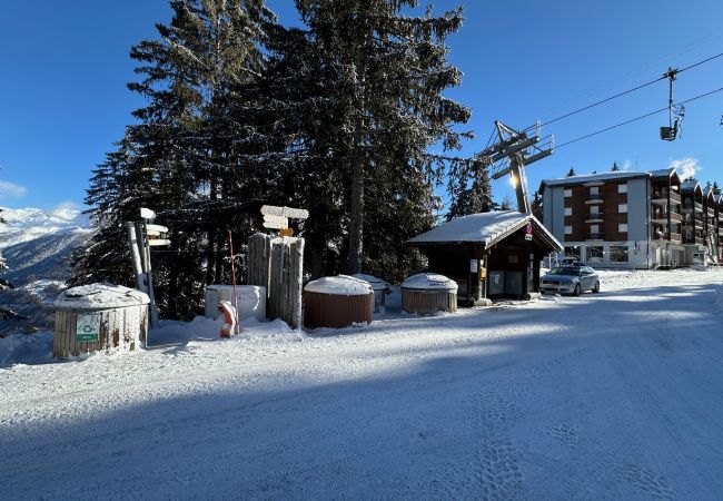 Studio in Vex - Slopeside Studio - 4 Valleys - Swiss Alps Studio in Vex - Slopeside Studio - 4 Valleys - Swiss Alps