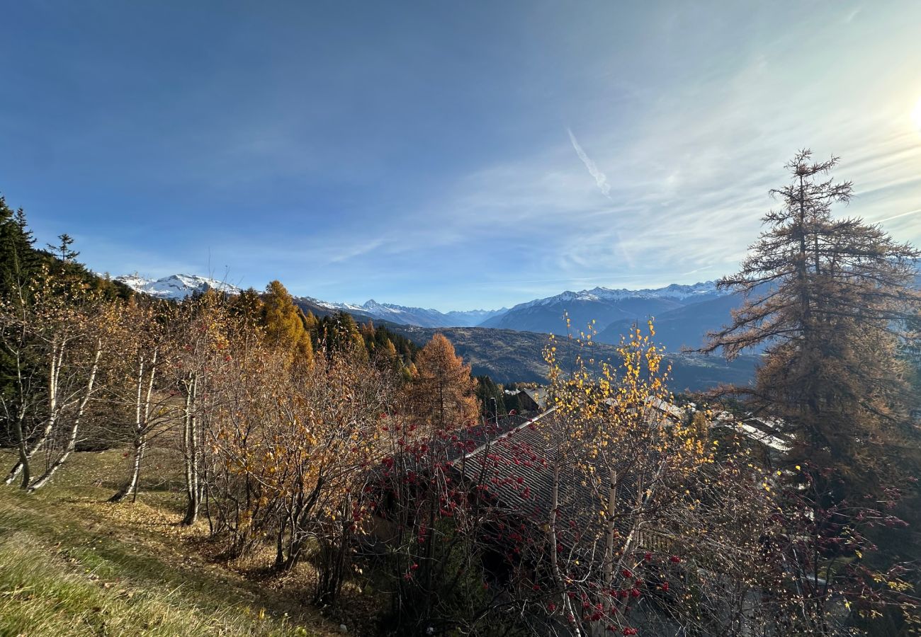 Apartment in Anzère - PO Big Dipper Suite - Anzère Slopeside - Swiss Alp