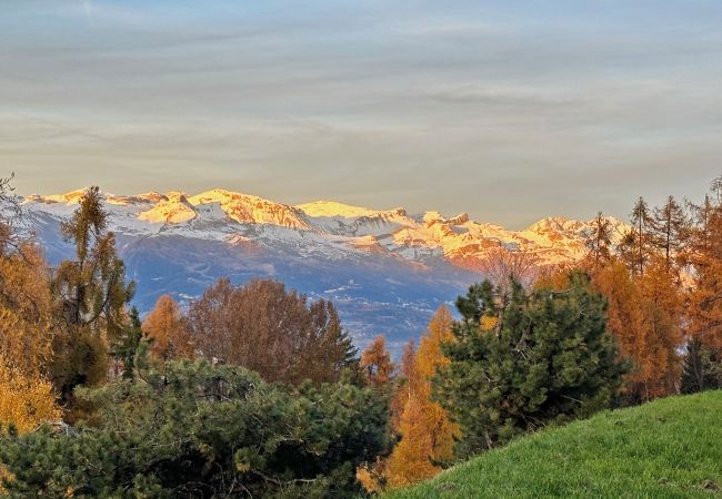 Apartment in Les Agettes - Lift Bear Lodge - 4Valleys - Swiss Alps