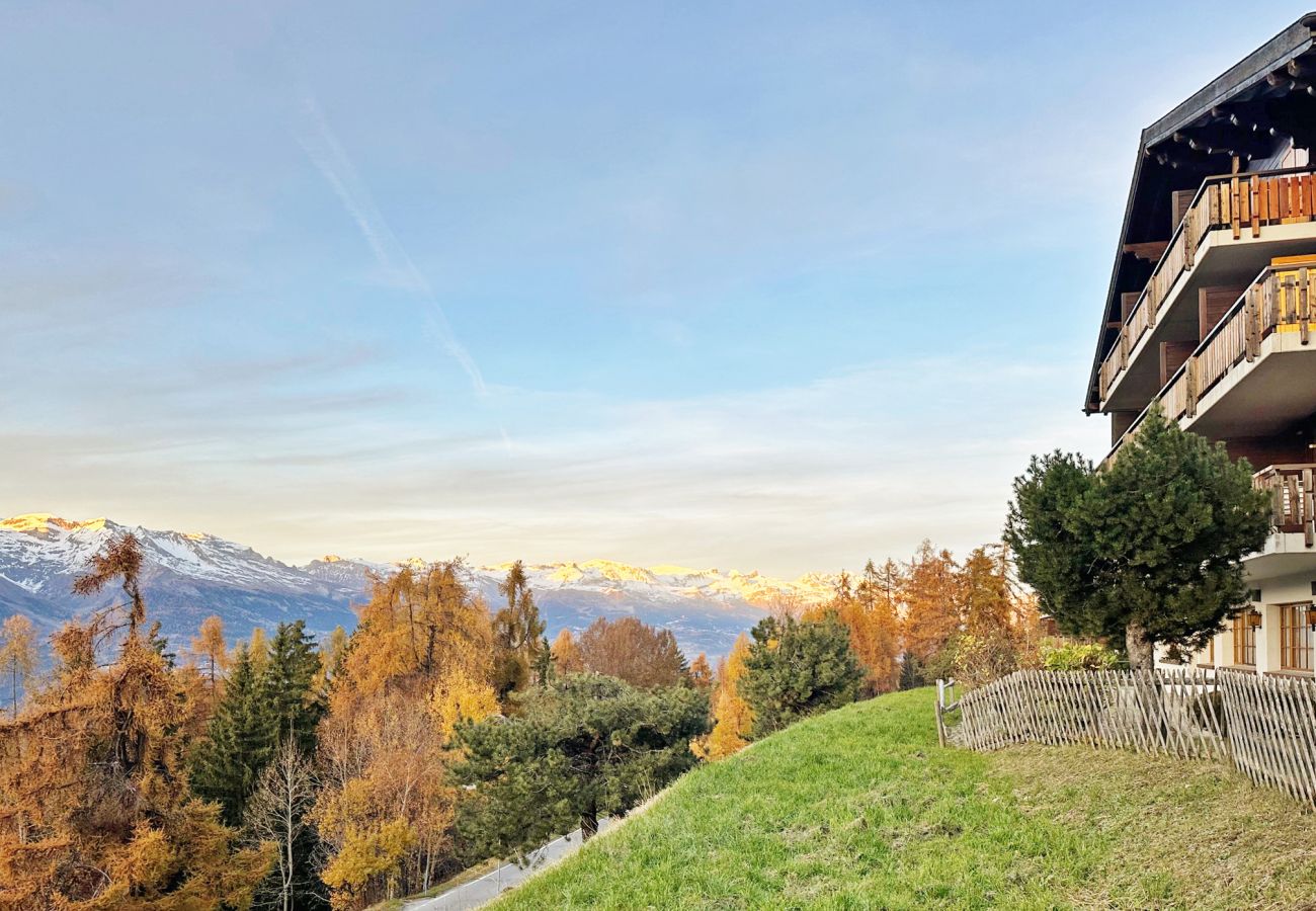 Apartment in Les Agettes - Lift Bear Lodge - 4Valleys - Swiss Alps