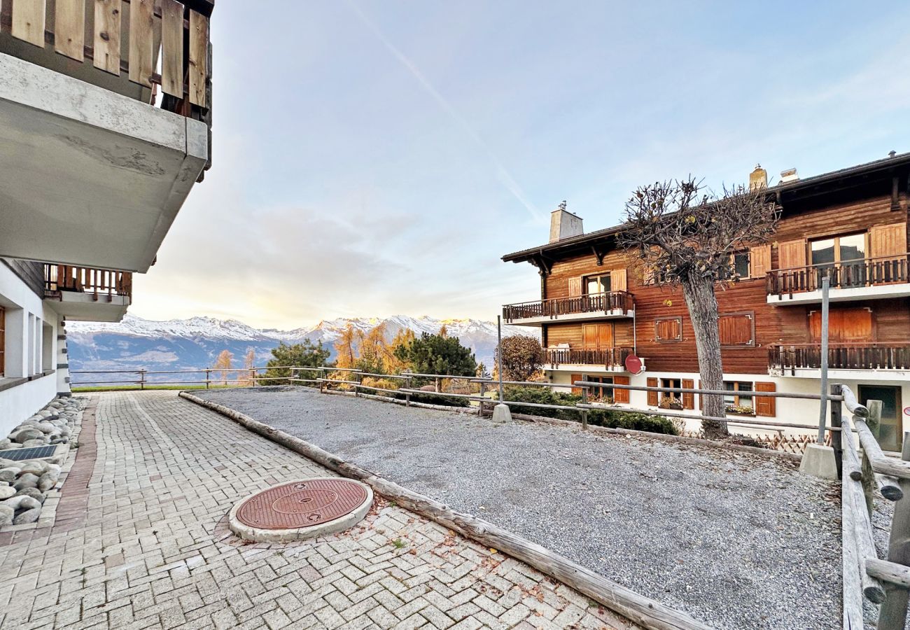 Apartment in Les Agettes - Lift Bear Lodge - 4Valleys - Swiss Alps