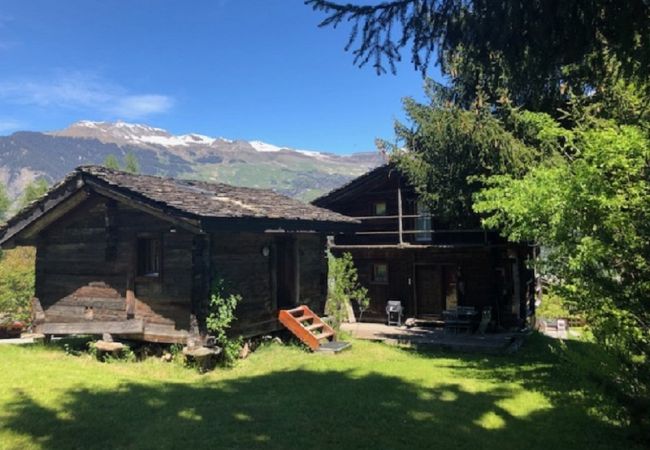 Vue extérieure du logement avec deux chalets, dont le chalet principal sur deux niveaux