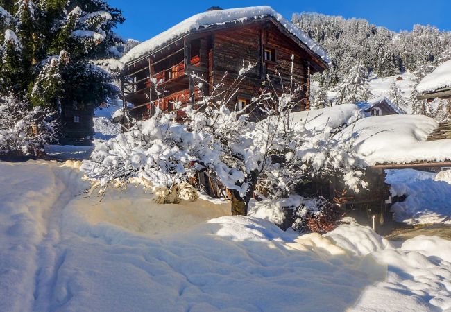 Façade du chalet en photo