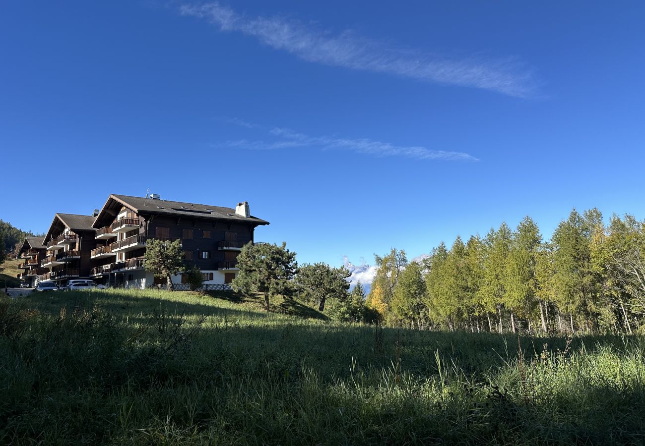 Appartement à Les Agettes - Les Mayens de l'Ours - 4 Vallées
