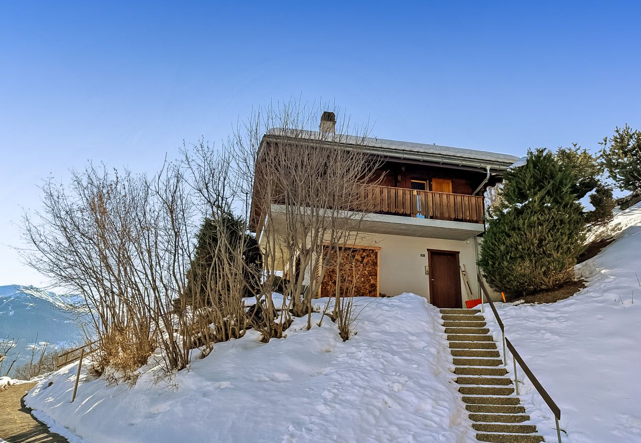 Image du chalet avec son accès par les escaliers