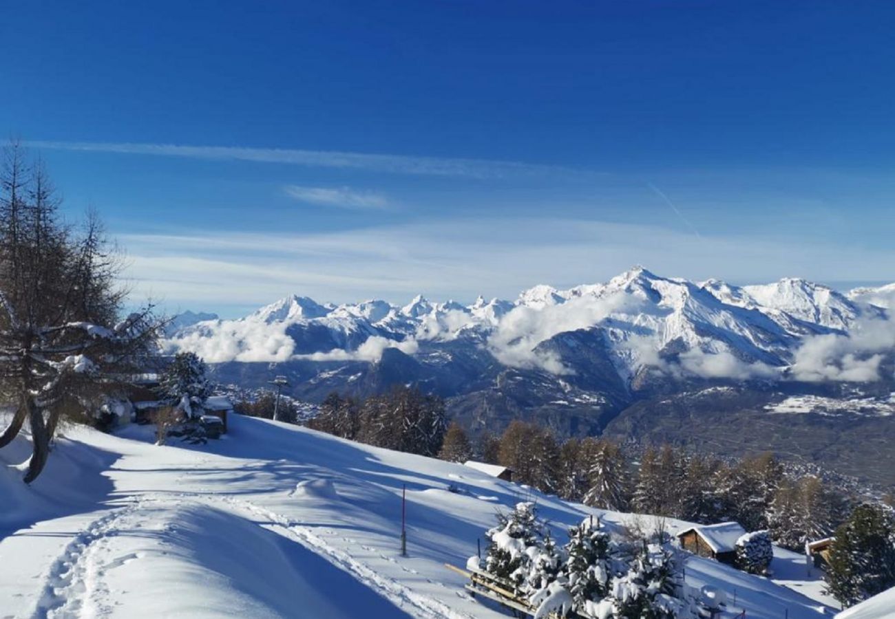 Chalet à Veysonnaz - Chalet La Vie est Belle sur les Pistes