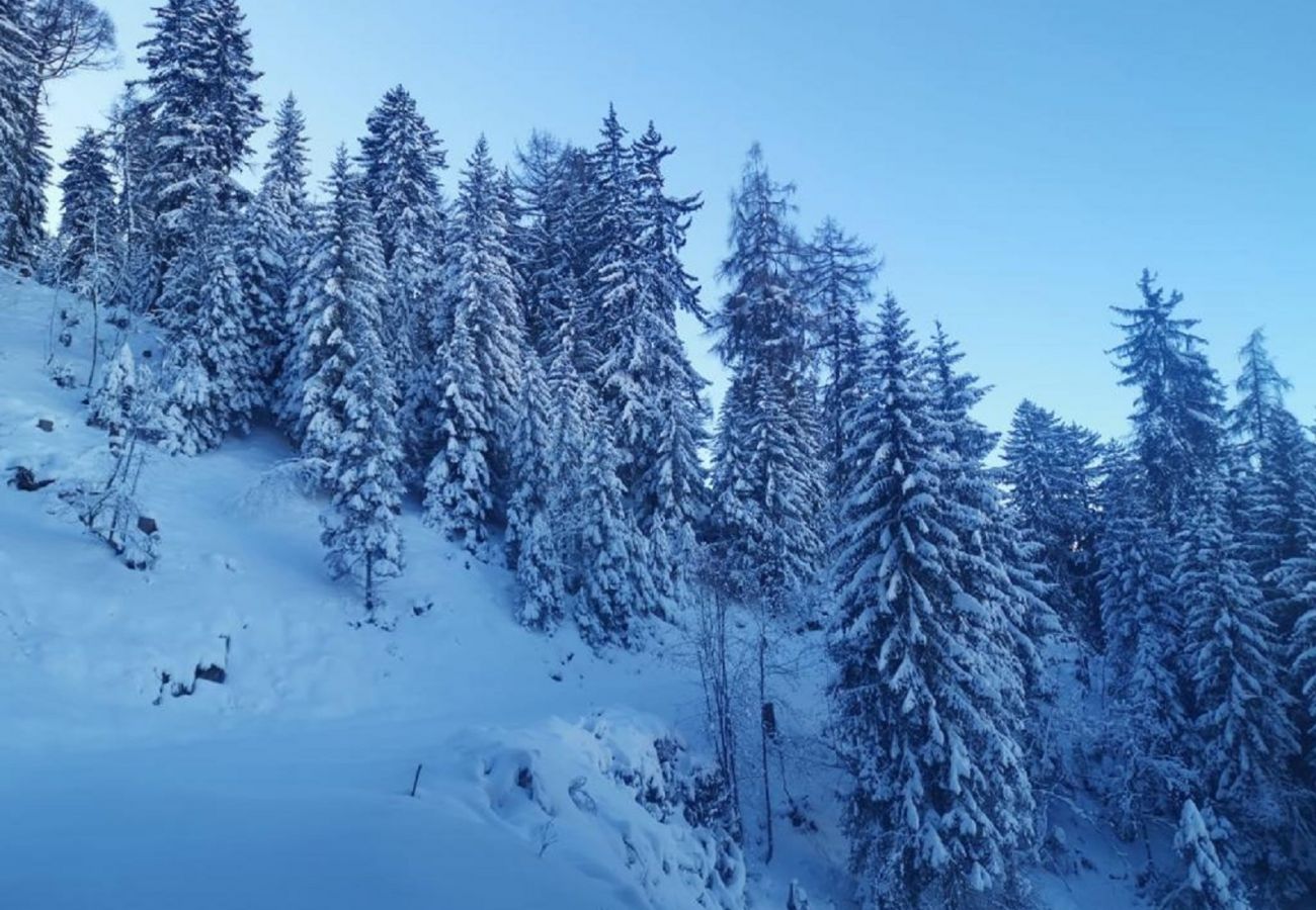 Chalet à Veysonnaz - Chalet La Vie est Belle sur les Pistes